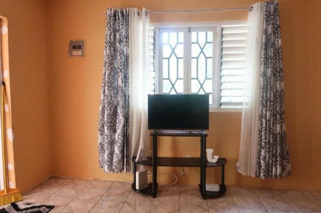 Under the Mango Tree Sunny APT w Airport Shuttle - Photo4