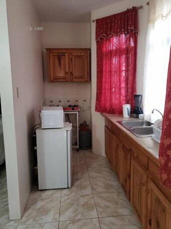 Wizzy Apartment Montego Bay - Photo2