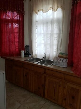 Wizzy Apartment Montego Bay - Photo4
