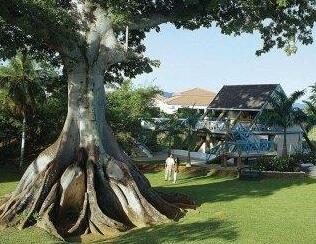 Breezes Grand Resort and Spa - Photo3