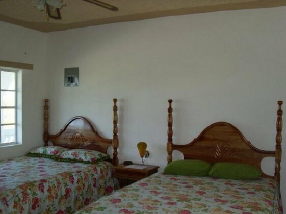 P's Apartments - Photo3