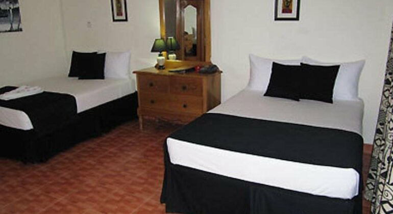 Sea Wind Resort Jamaica - Photo5