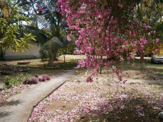 The Royal Hummingbird Resort - Photo4
