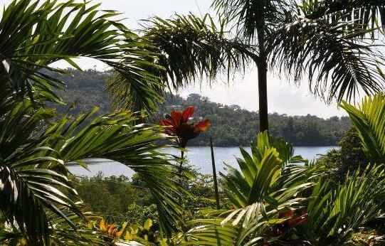 Bay View Eco Resort & Spa - Photo5