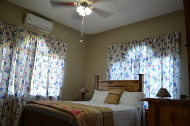 Cozy Comfort Inn - Photo2