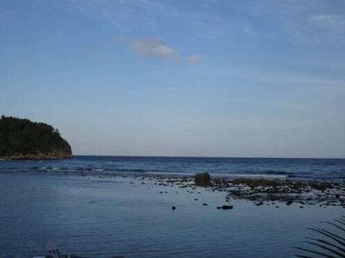 Crystal Cove Port Antonio - Photo4