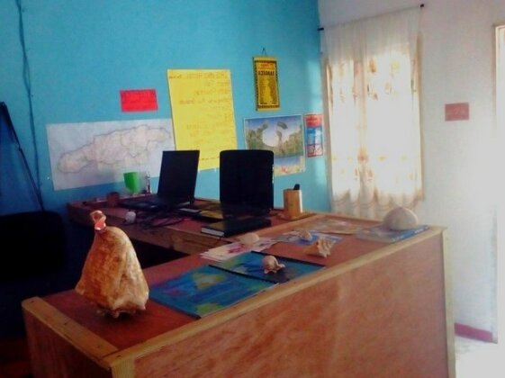 IRIE Vibez hostel - Photo2