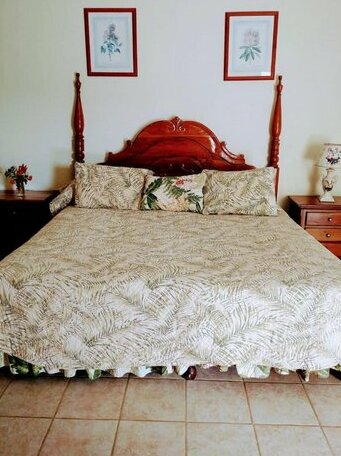 Port Antonio Inn Private rooms - Photo3