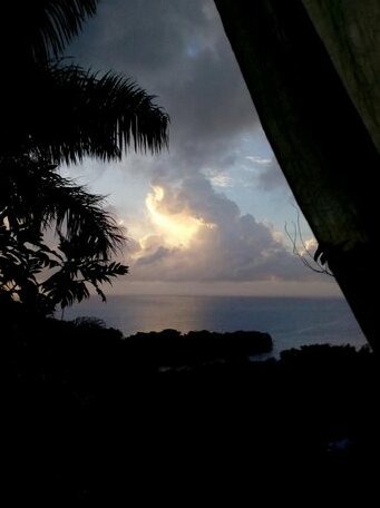 Rose Hill Villa - Photo3