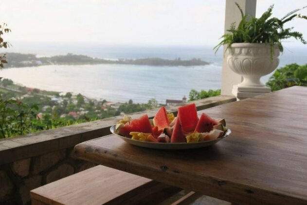 Treetops Villa Port Antonio - Photo2