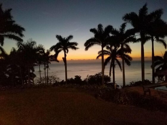 Coral Hill - Photo3