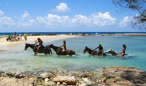 Ocho Rios Under The Coolshade II - Photo4