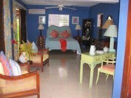 Inviting Caribbean Style 5 BR Villa - Montego Bay - Photo3
