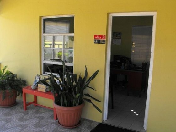 Sea Palms - Photo2