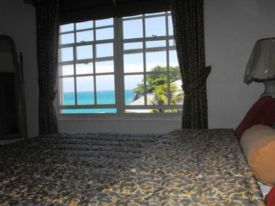 Sea Palms - Photo5