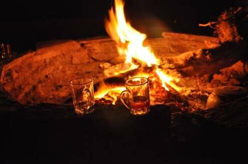 Bedouin Whispers Camp - Photo2