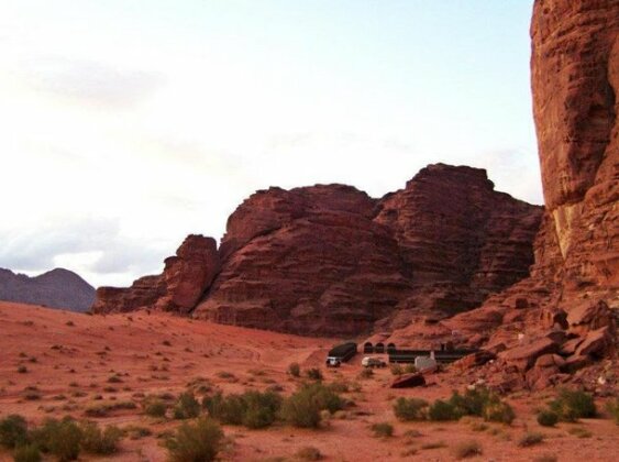 Real Bedouin Camp - Photo3