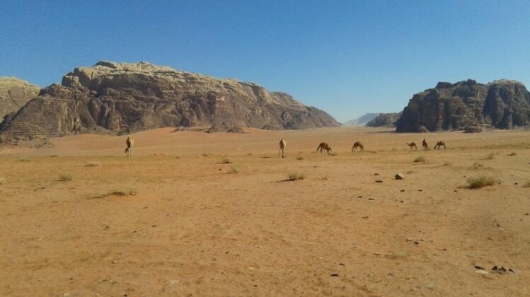 Wadi Rum Beduland Camp - Photo5