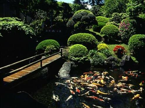 Izuajiro-onsen Shoufuen - Photo5