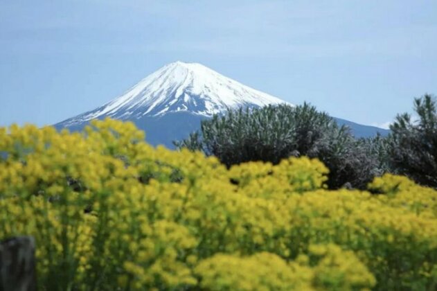 Comfortable house with Mt Fuji View BEARHOUSE D - Photo3