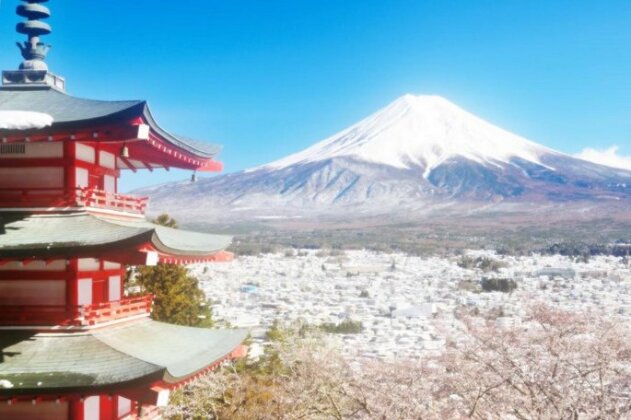 Erable Mt Fuji Zen - Photo2