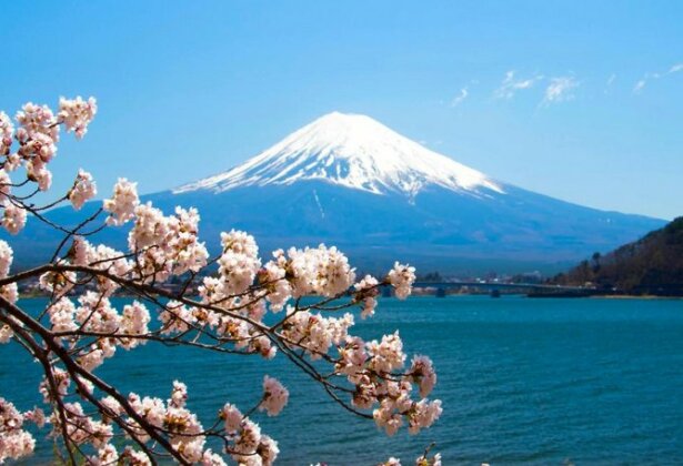 Erable Mt Fuji Zen - Photo3