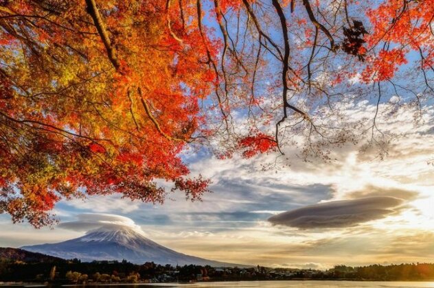 Daikokuya Mt Fuji - Photo3