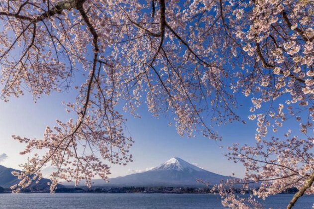 Daikokuya Mt Fuji - Photo5