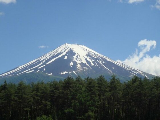 Evergreen Fuji - Photo5