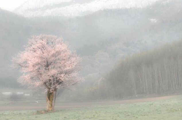 Rising Sun Furano Adult Only - Photo2