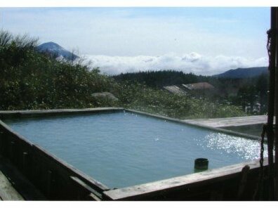 Toshichi Onsen Saiunso - Photo3
