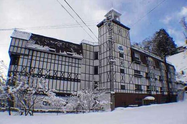 Hakuba Gondola Hotel - Photo4