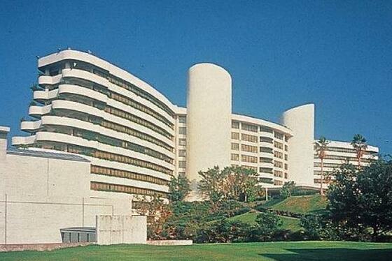 Ibusuki Iwasaki Hotel - Photo2