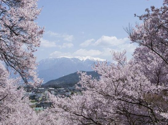 Takato Sakura Hotel - Photo3