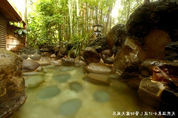 RYOKAN Ito Onsen Suihoen - Photo3