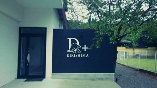 D+Kirishima