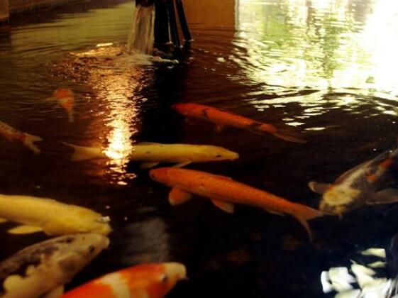 Washu Bule Resort Kasago - Photo2