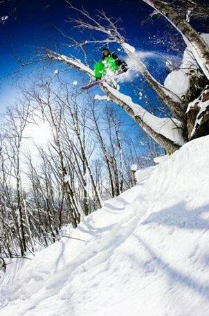Snow Crystal - Photo3