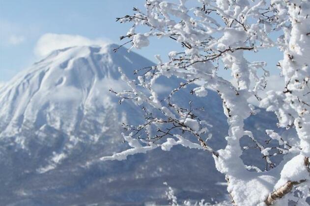 Snow Crystal - Photo5