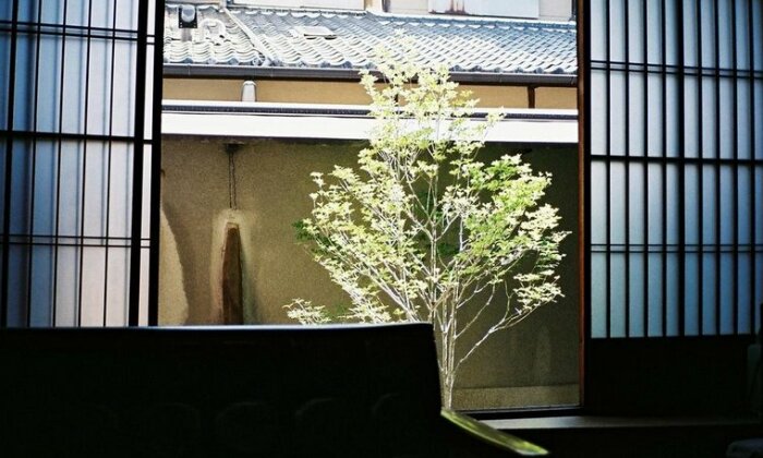 Gojo Guesthouse - Annex - Photo2