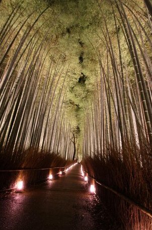 GuestHouse SagaArashiyama