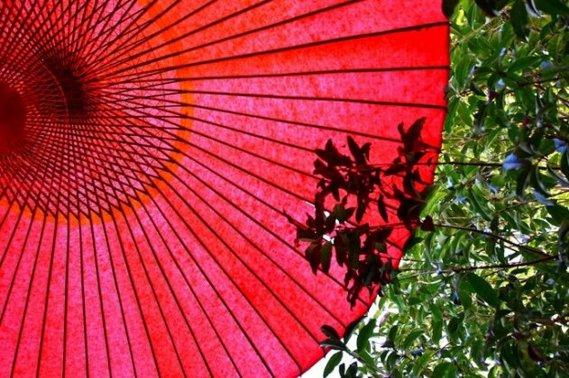 Yumemaboroshi - Photo2