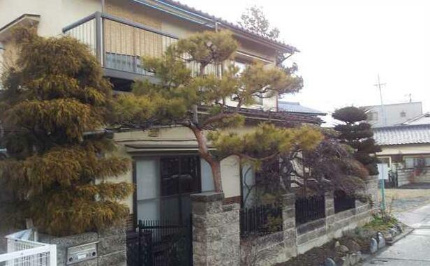 Matsumoto BackPackers - Photo3