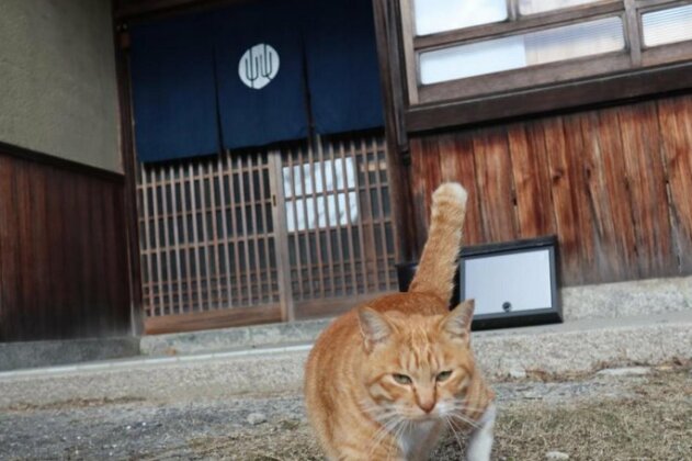 Guesthouse with Cat and Honeybee Kusachike - Photo3