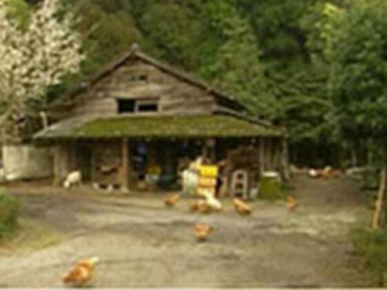 Pension Aichanchi - Photo4