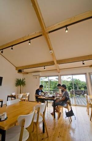 Sandal Wood - Photo4