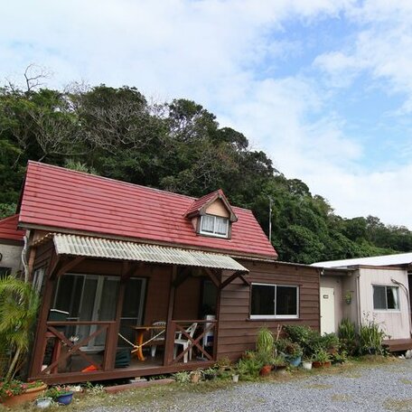 Photo 4