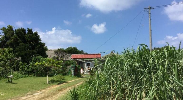 Budounoki - Photo3