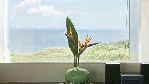 One Suite Hotel & Resort KOURI ISLAND - Photo5