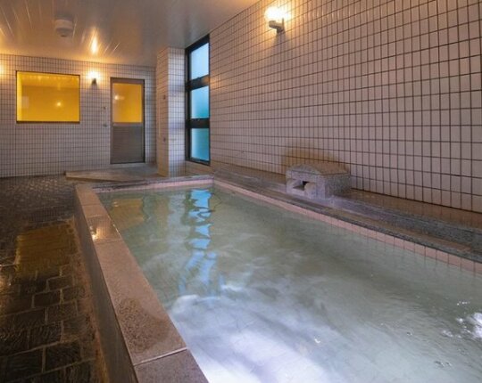 Narita AIC Airport Hotel - Photo2